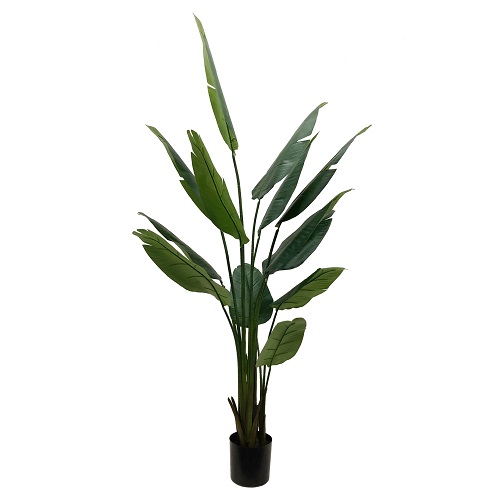 7 ft Bird of Paradise Tree - Themed Rentals - Fake 7ft Bird of paradise tree rental